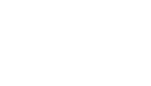 CustomerLogo_VW