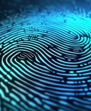 Kodex Fingerabdruck